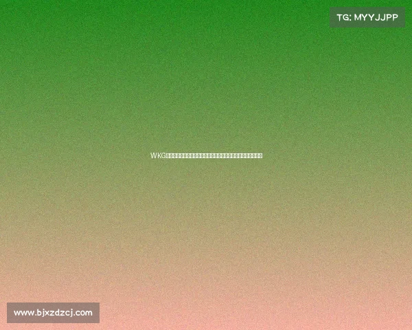 WKG格斗赛事热血开战全球顶尖高手齐聚擂台激战对决荣耀巅峰之战